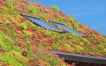 Gatelawbridge living roof systems